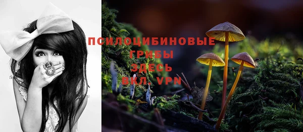 спиды Сосновоборск